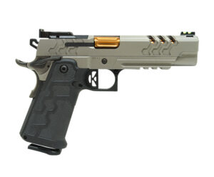 Kimber 2K11 STAINLESS TGT20+1 OR 9MM